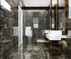 Luxury Bathroom Interior